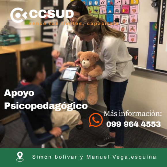 Apoyo  Psicopedagógico